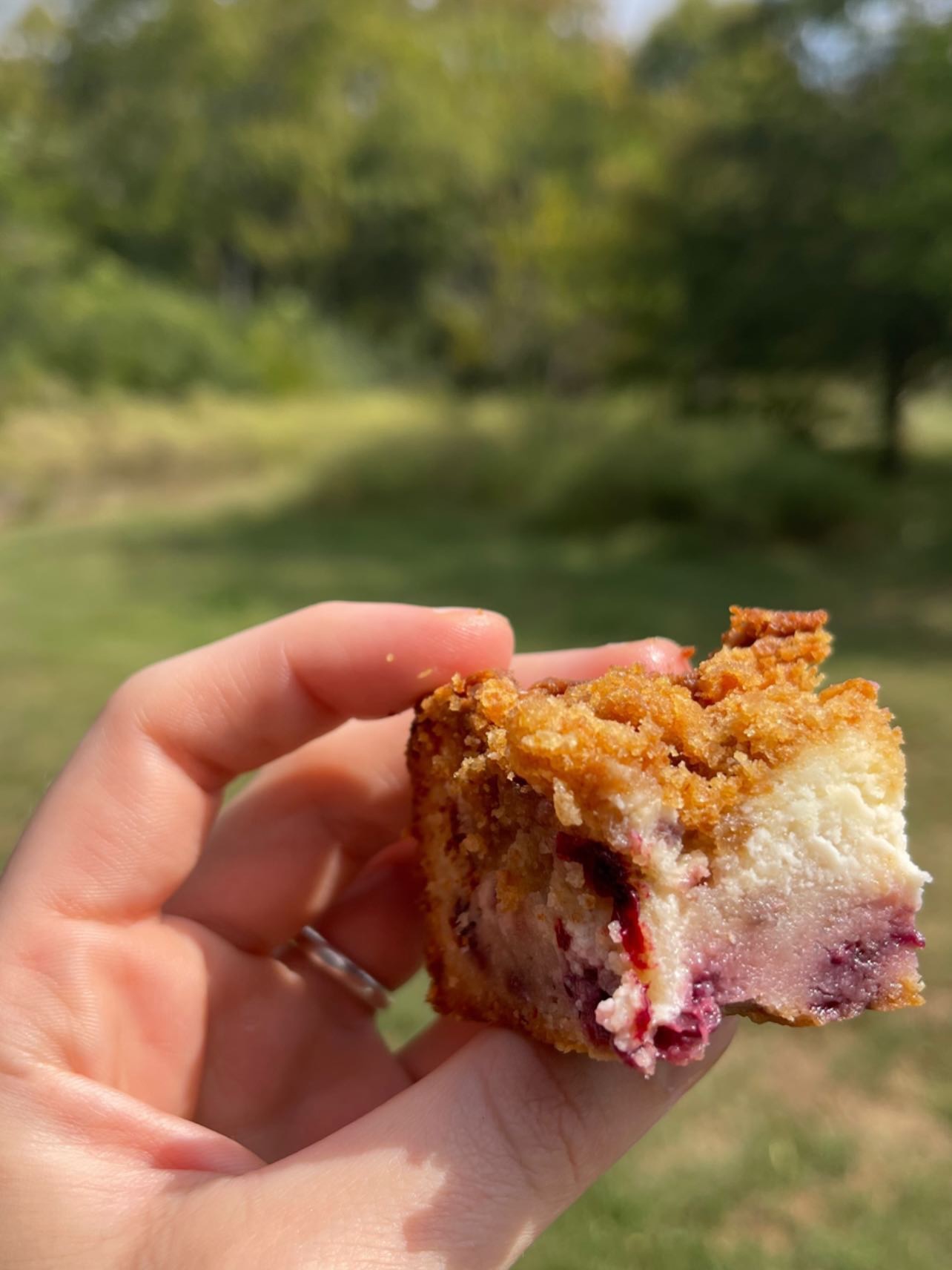 A bite of blackberry crumb cake
